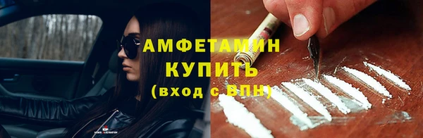 шишки Абаза