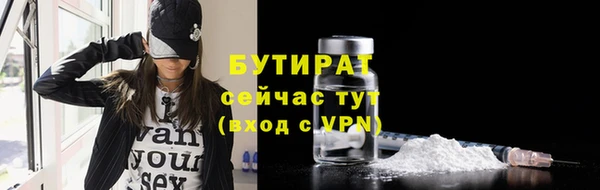 шишки Абаза