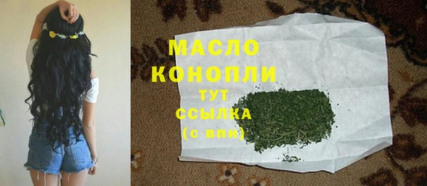 шишки Абаза