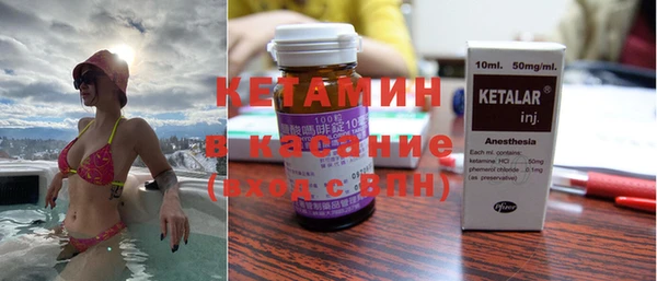 шишки Абаза