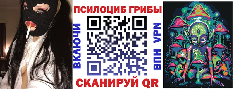 Псилоцибиновые грибы Psilocybe  Яблоновский 