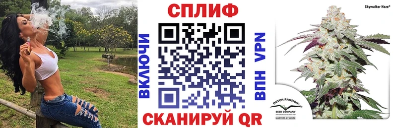 блэк спрут как войти  Яблоновский  Канабис White Widow 